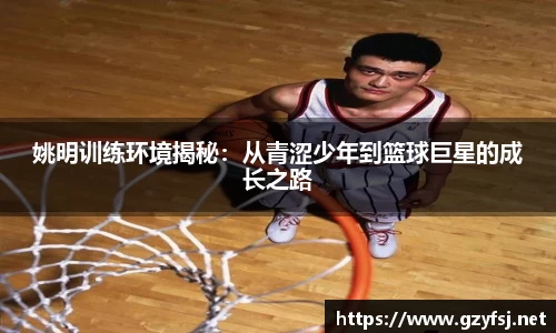 QY球友会官方网站